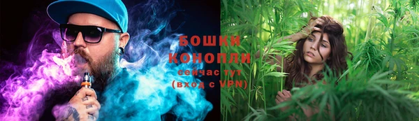 PSILOCYBIN Вяземский