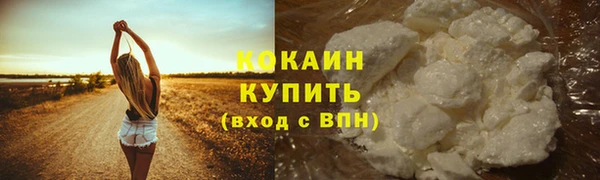 мдпв Вязники